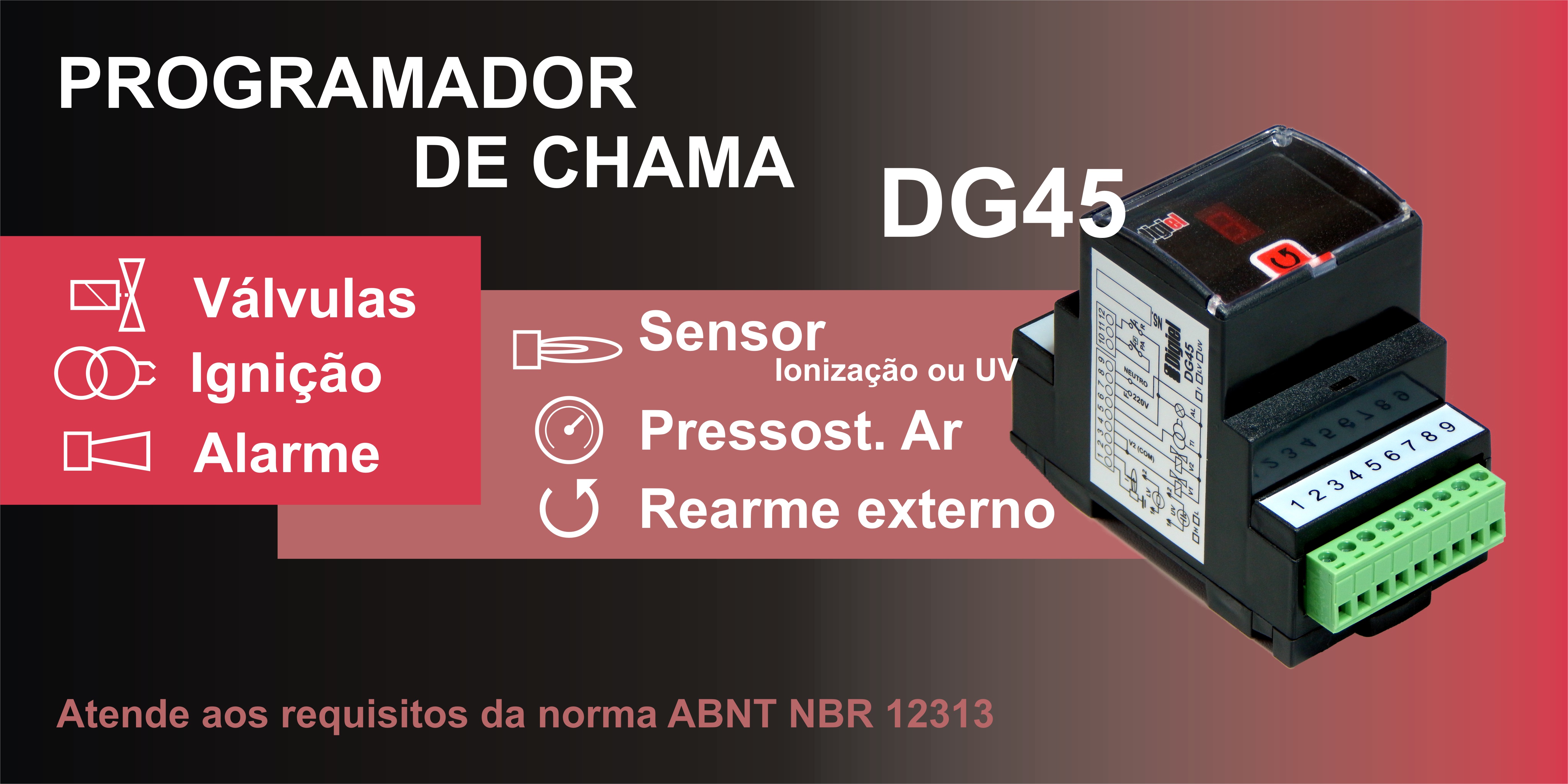 Banner Apresentação DG45.JPG
